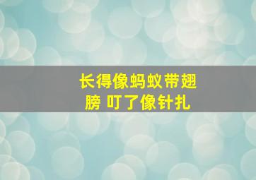 长得像蚂蚁带翅膀 叮了像针扎